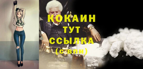 индика Зерноград