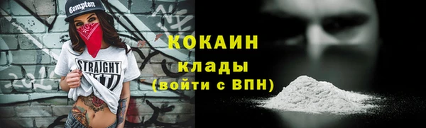 индика Зерноград