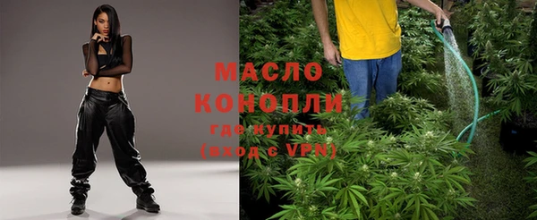 индика Зерноград