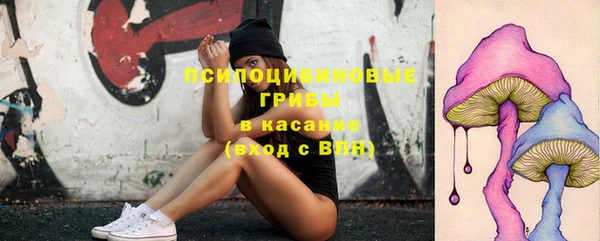 индика Зерноград