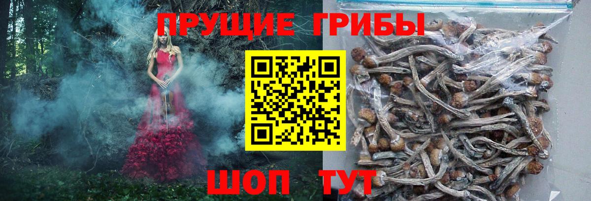 Галлюциногенные грибы GOLDEN TEACHER Искитим