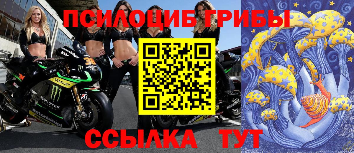 Галлюциногенные грибы MAGIC MUSHROOMS  Искитим  Галлюциногенные грибы Magic Shrooms 