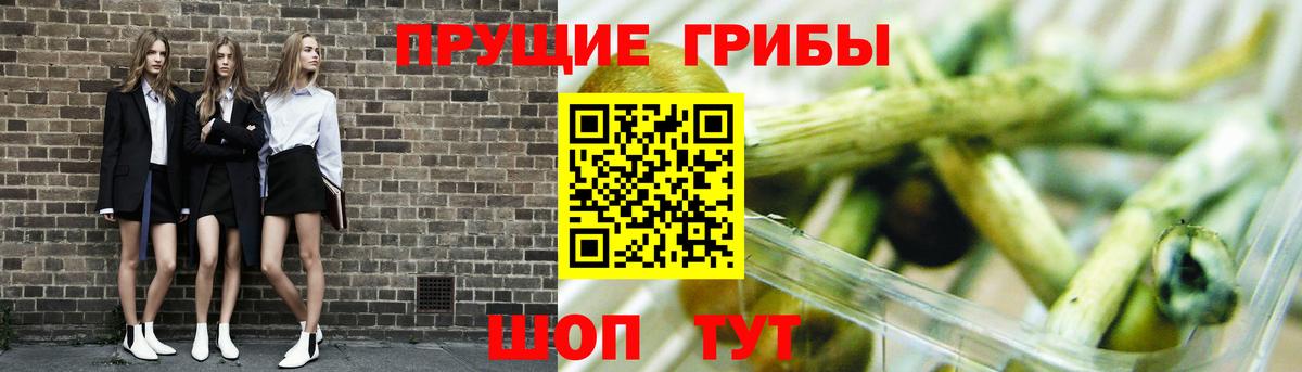 Псилоцибиновые грибы прущие грибы Искитим